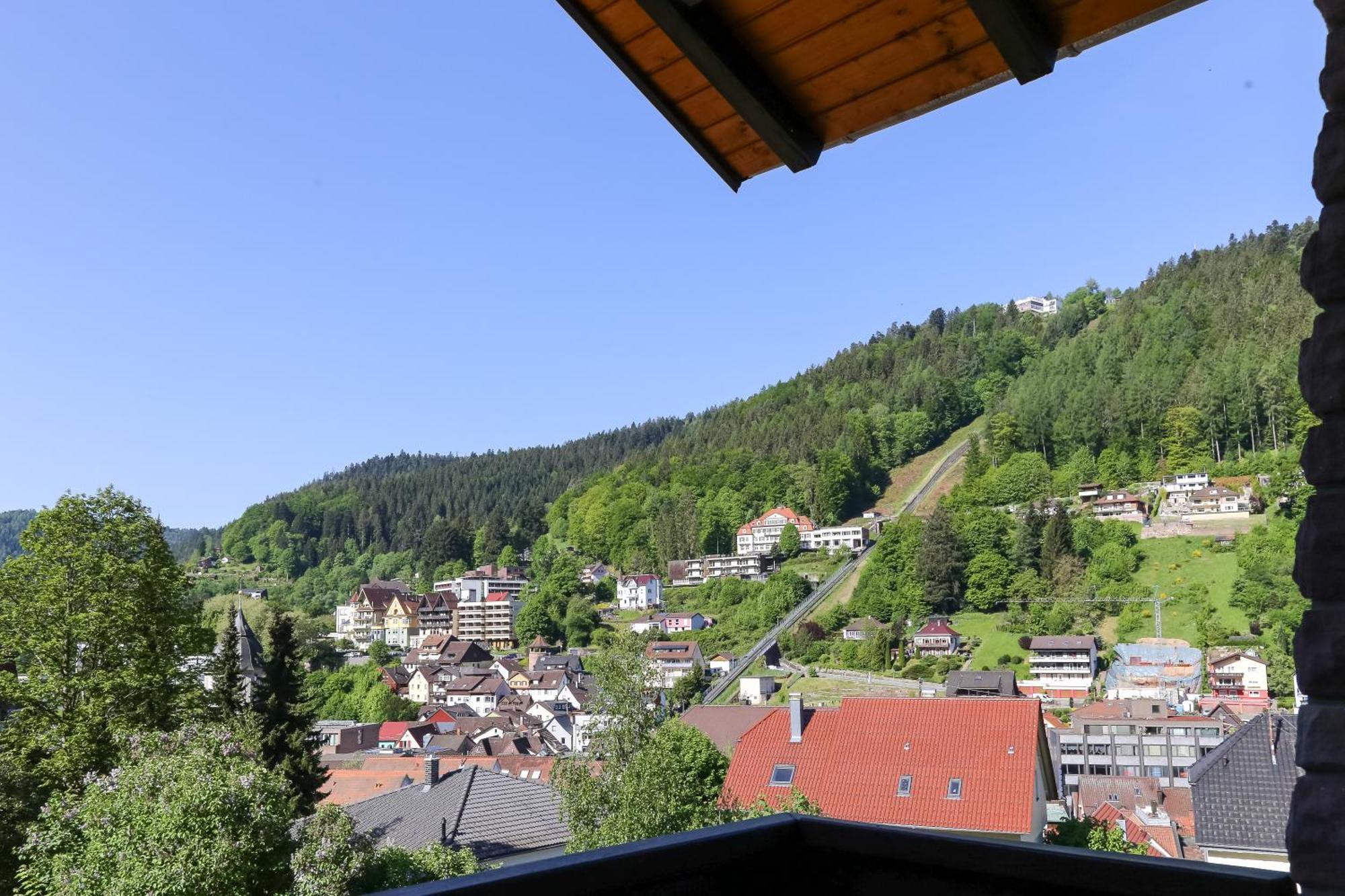 Aparthotel Schwarzwald Panorama Bad Wildbad Rum bild